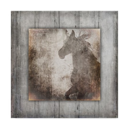 Lightboxjournal 'Gypsy Horse Right Frame.' Canvas Art,18x18
